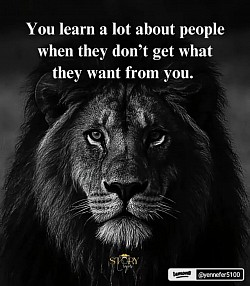 Insight